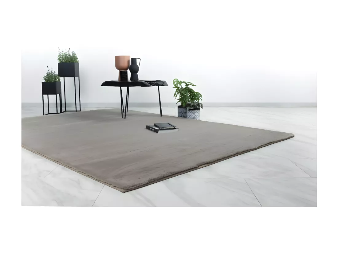 Tapis 230x160cm, design E005N coloris taupe - Confort et élégance pour votre intérieur