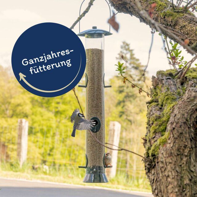 Lyra Pet® Sonnenblumenkerne geschält BRUCH