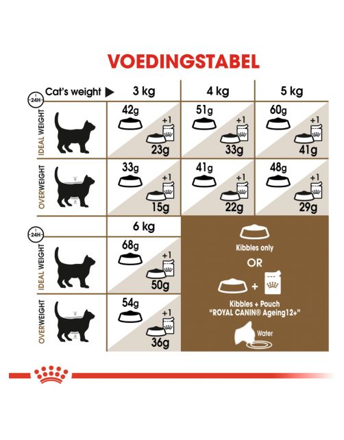 Royal Canin Ageing 12+ - Kattenvoer