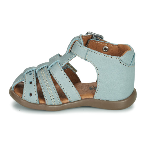 GBB - CARIGO - Vert