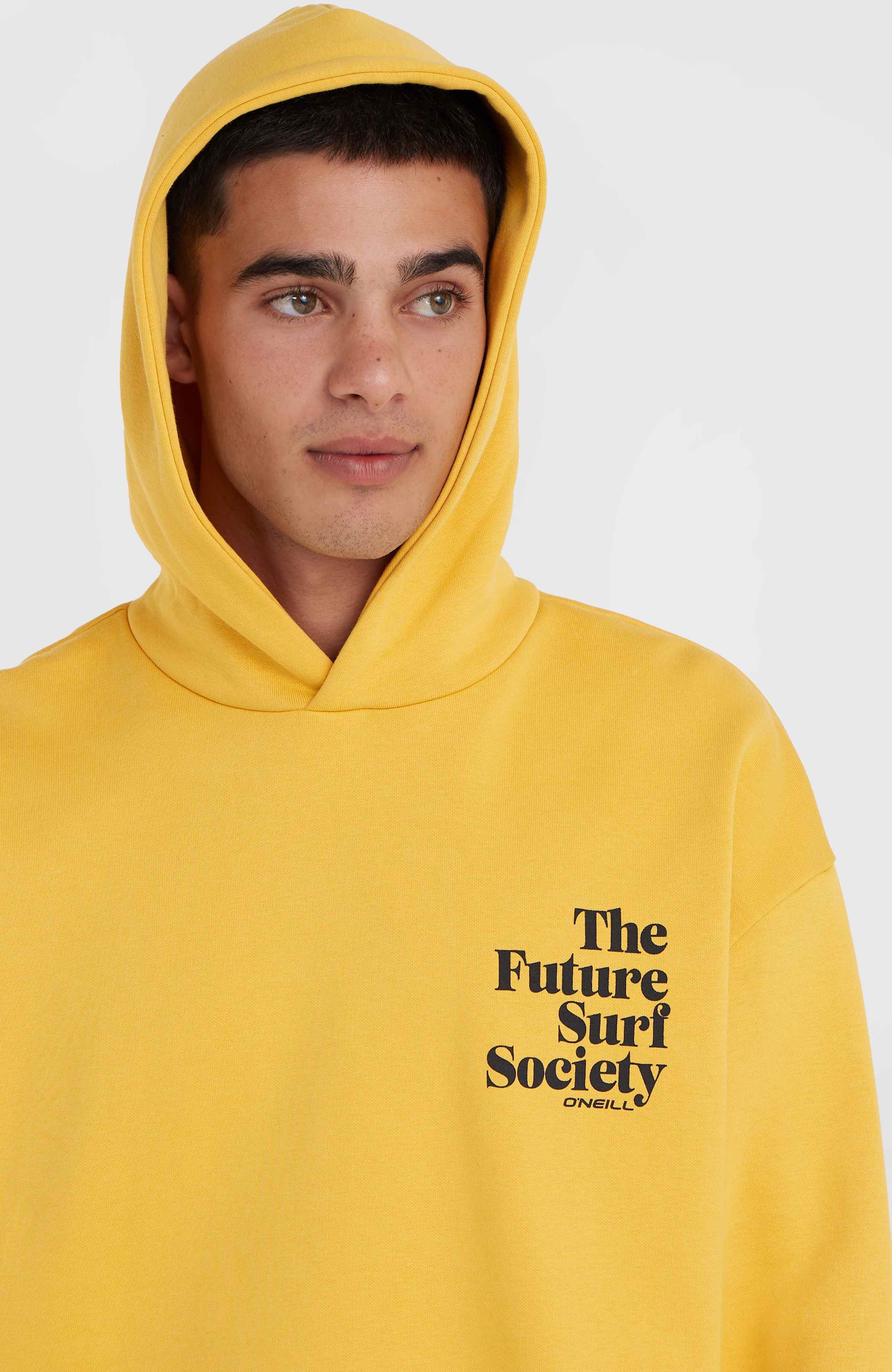 Future Surf Society hoodie O`Neill Goud