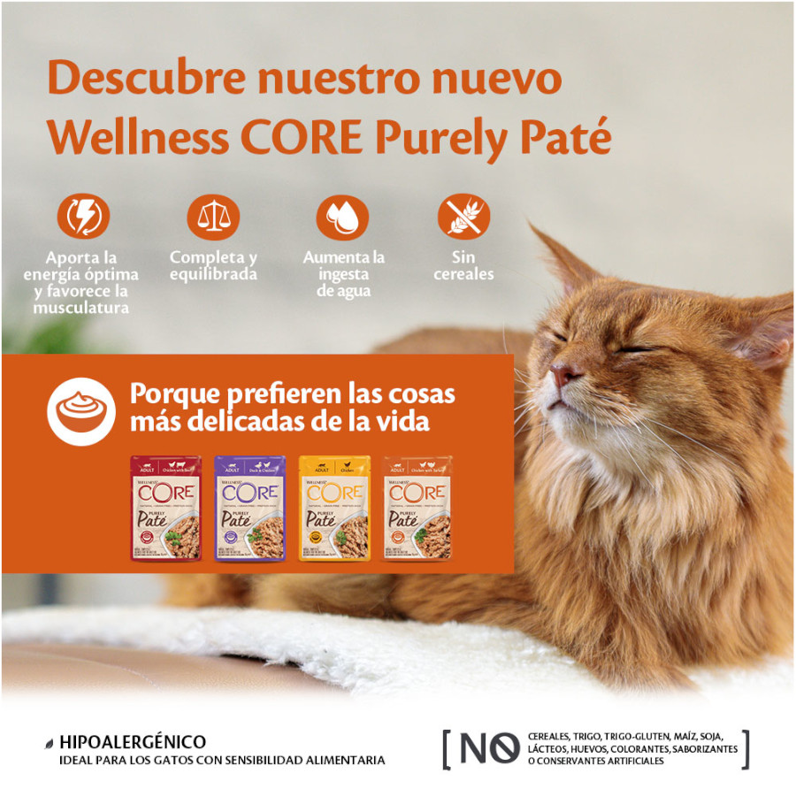 Sachê de 85g de Wellness Core Adult Purely Chicken in Patê para Gatos