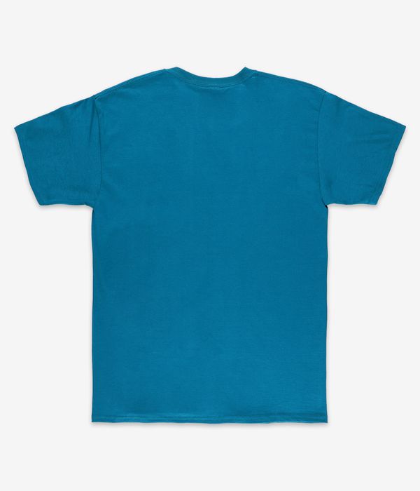 Thrasher Flame T-Shirt (galapagos)