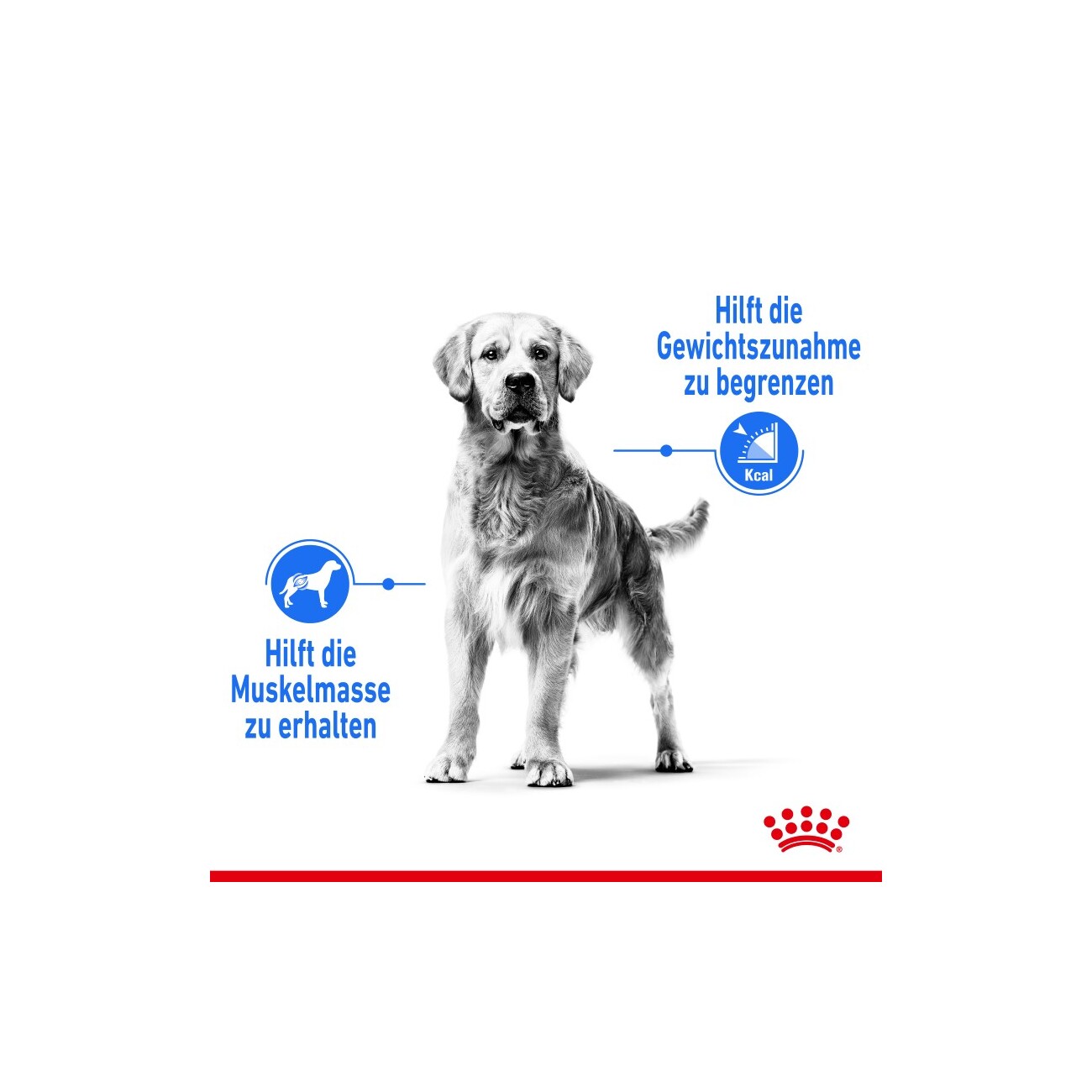 ROYAL CANIN Light Weight Care Maxi 12 kg