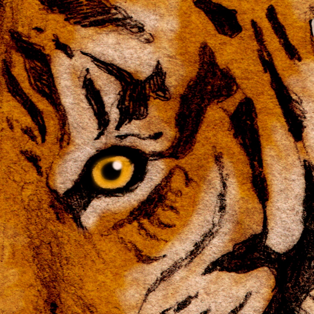 Komar Fototapete »Digitaldruck Vlies -  Tiger Jungle - Grösse 400 x 250 cm« bedruckt glatt Wohnzimmer, Schlafzimmer