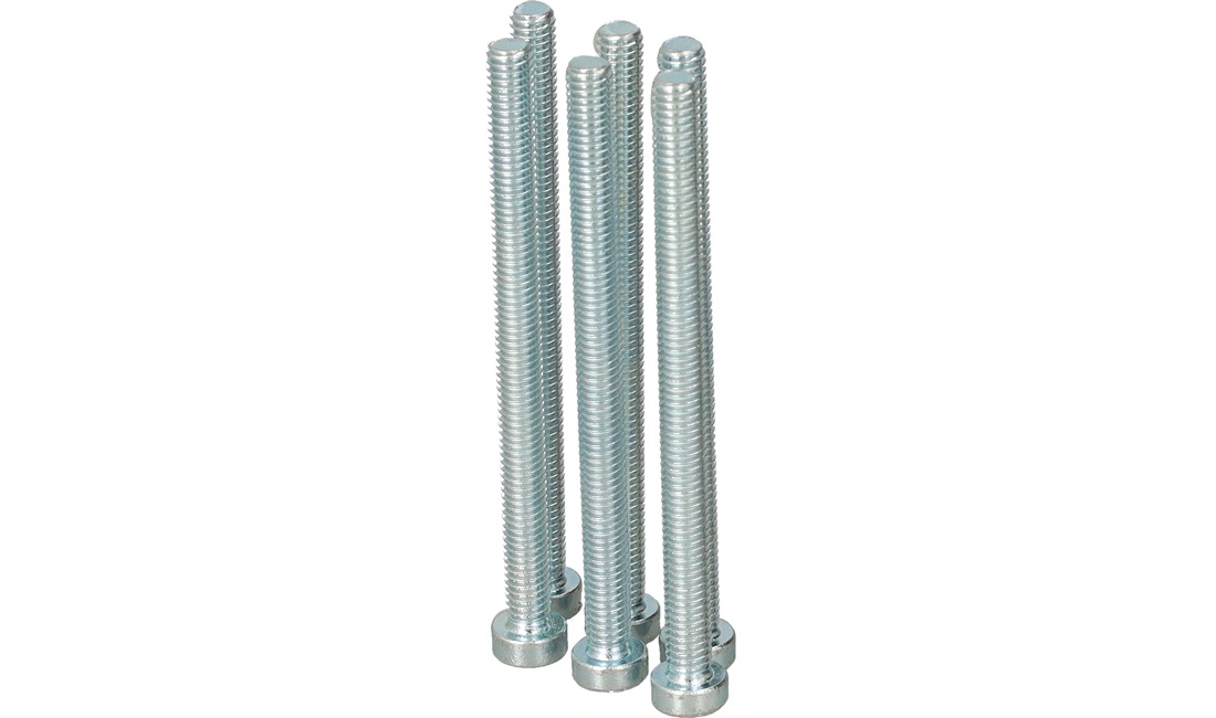 Unbraco bolte 6x80 mm - 6 stk.