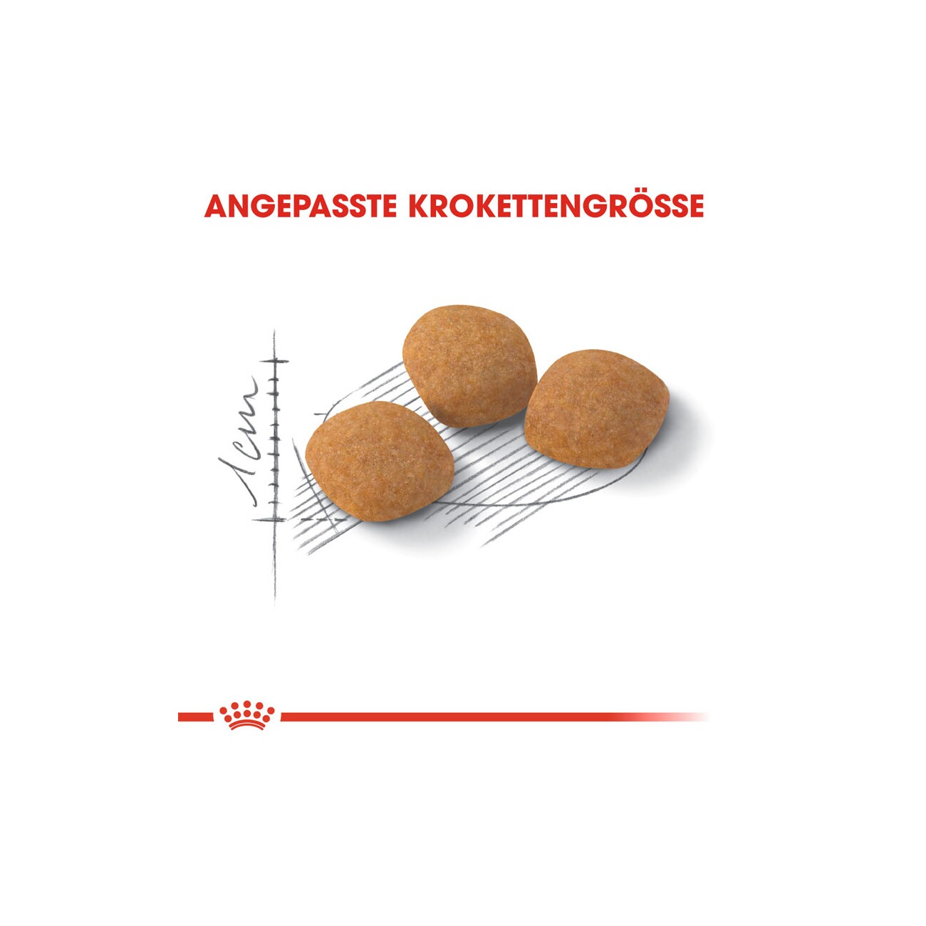ROYAL CANIN Protein Exigent 2 kg