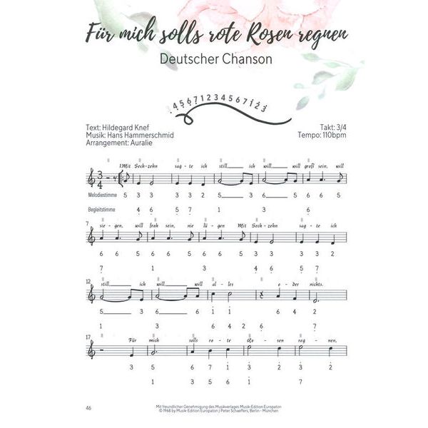 Claudia Groß Steel Tongue Drum Songbook