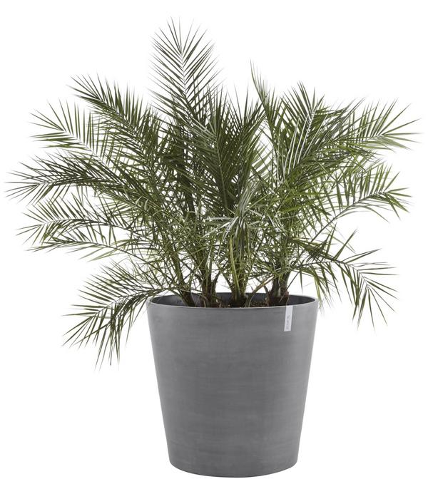 Ecopots Kunststoff-Topf Amsterdam mit Rollen,