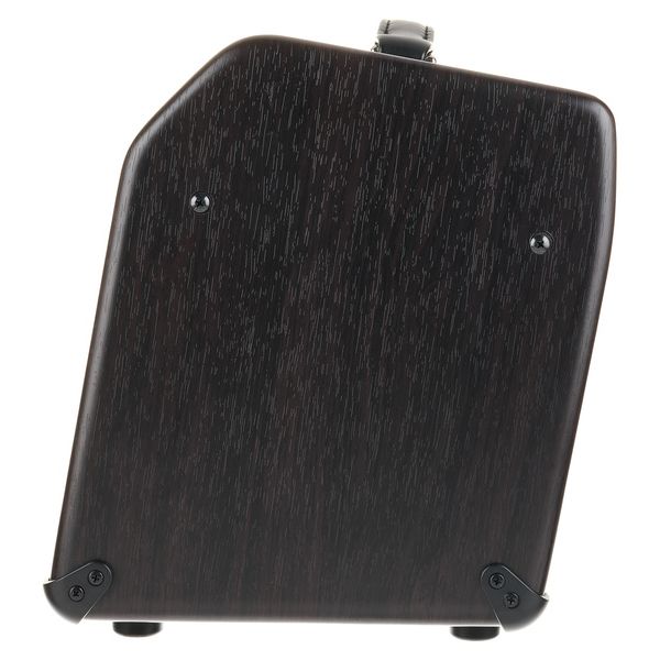 Boss ACS Acoustic Singer Liv Bundle