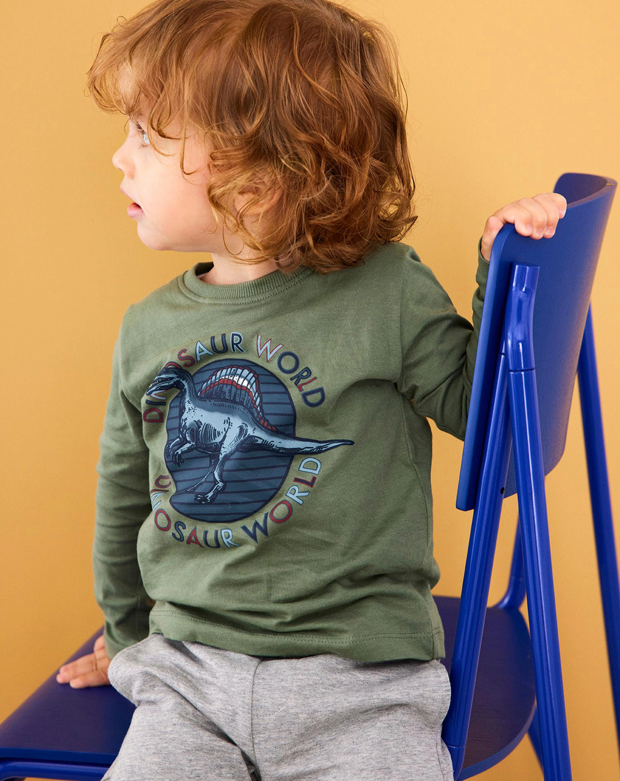 Langarmshirt NMMRARO TREX in agave green
