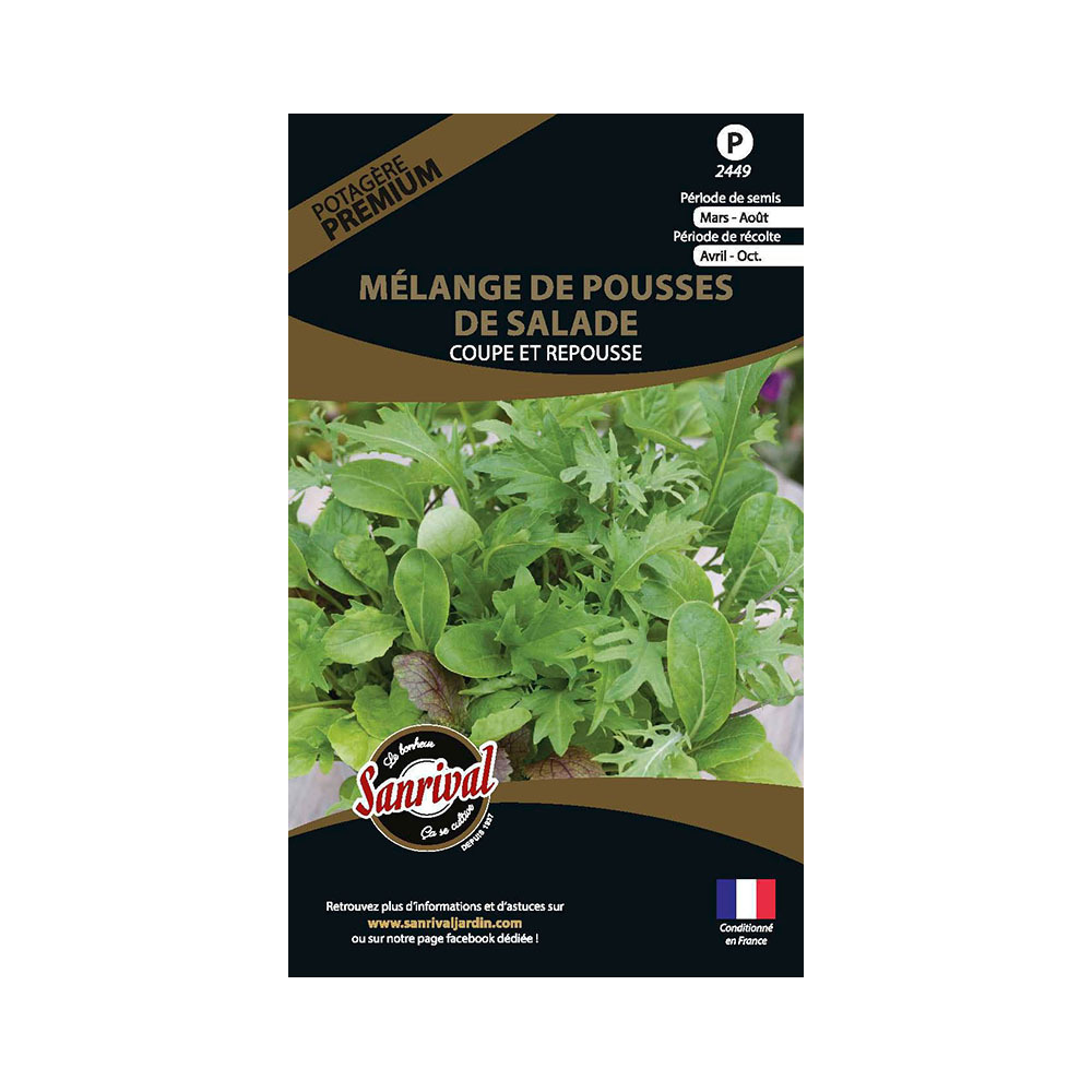 Graines potagères premium mélange de pousses de salade coupe et repousse