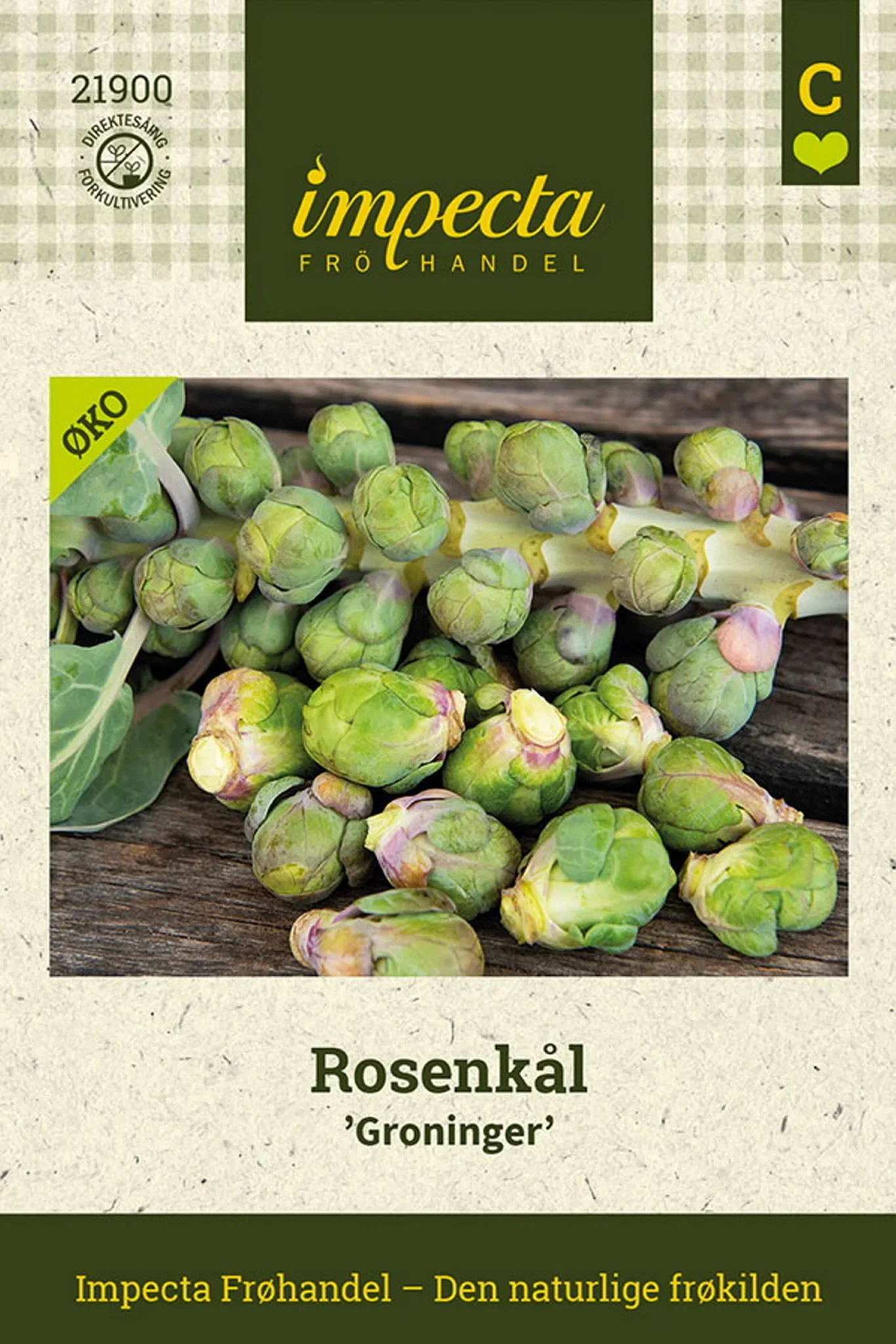 Brassica oleracea 'Groninger' Rosenkål 'Groninger'