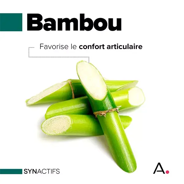 Aragan - Synactifs - FlexProtect® - Articulações - Colágeno - 60 cápsulas