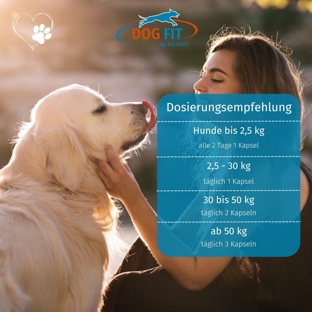 DOG FIT by PreThis® VITAL immun » Abwehrkräfte, Darm- und Muskelaufbau, bei Allergien (large)