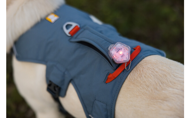 Ruffwear Web Master Hundegeschirr mit Handschlaufe