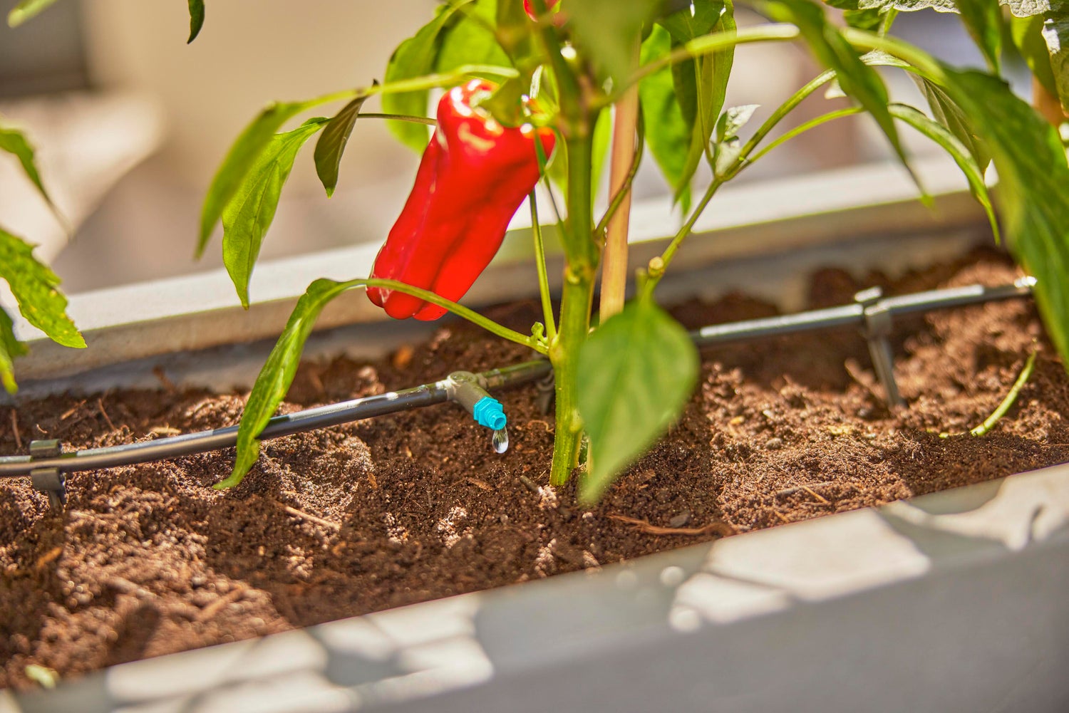 Gardena Micro Drip systeem druppelaar startset voor terras 30 planten