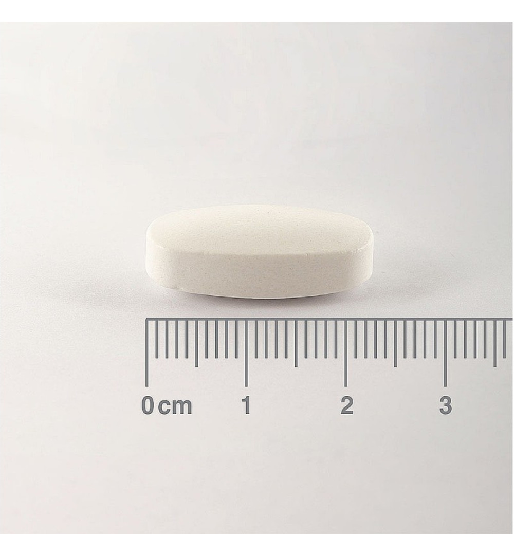 Lamberts MagAsorb (60 tabletten)