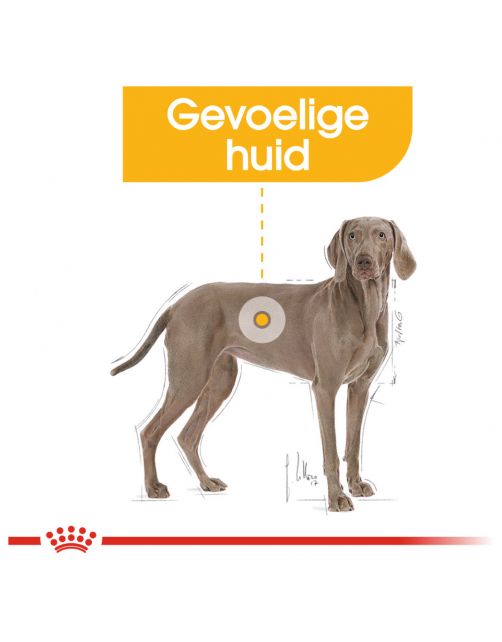 Royal Canin Dermacomfort Maxi - Hondenvoer
