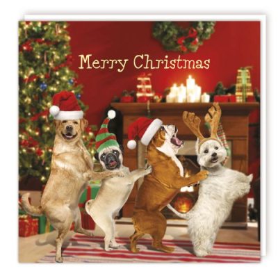Conga Dogs