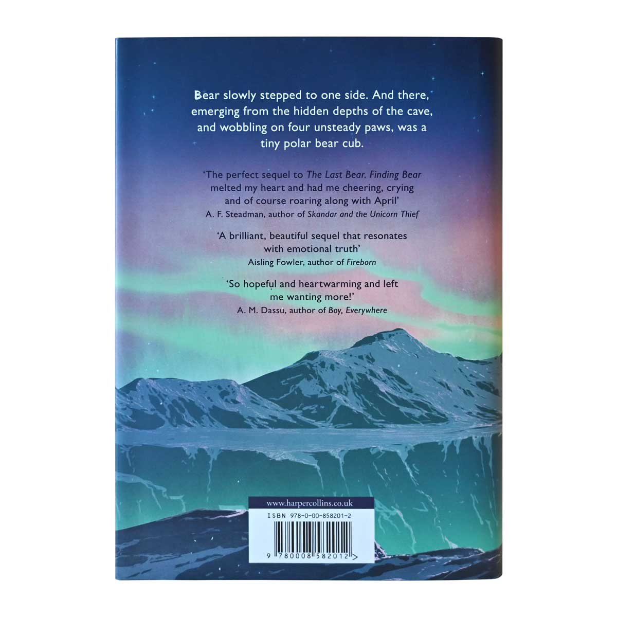 Finding Bear (Hardback)