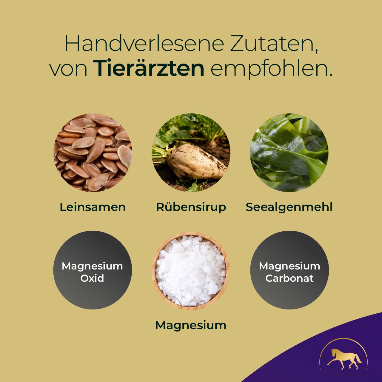 Pferdegold® Nerven