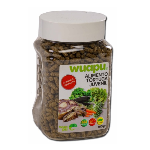 Tartaruga terrestre juvenil Wuapu 100 g