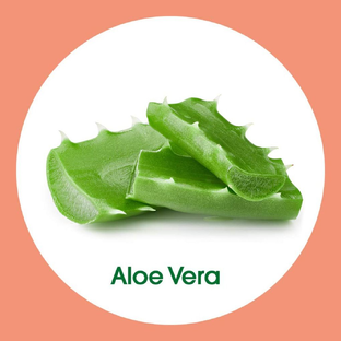 Dettol Hydraterende Wasgel Antibacteriëel - met aloe vera 250ML