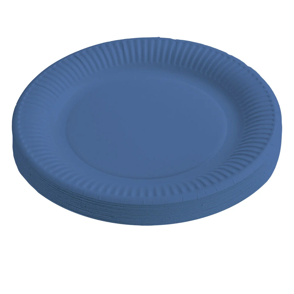 Lot de 10 assiettes jetables en carton bleu