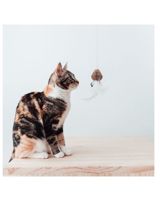 District 70 Kattenhengel Smash - Kattenspeelgoed -