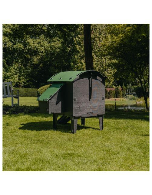 Nestera Kippen Lodge - Kippenhok - Groen Zwart Small