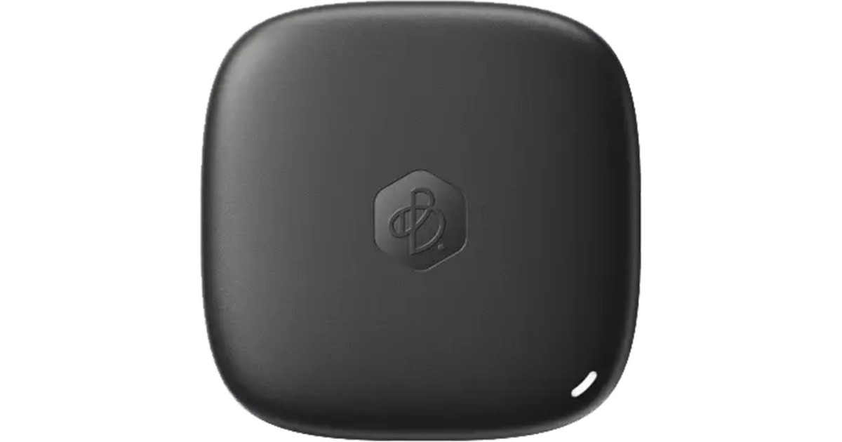 SynologyBeeDrive 1 TB externe SSD  (Zwart, USB 3.2 Gen 2 (Type C))
