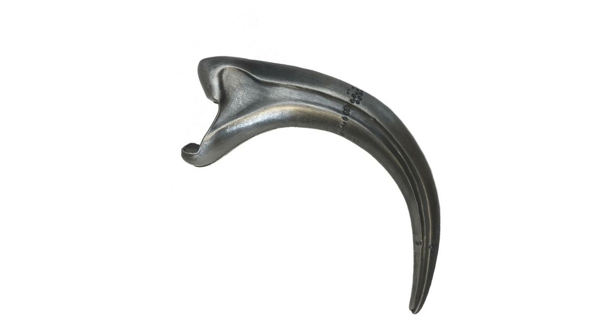 Factory EntertainmentJurassic Park: Fossil Raptor Claw Metal Bottle Opener flessenopener  (Antraciet)