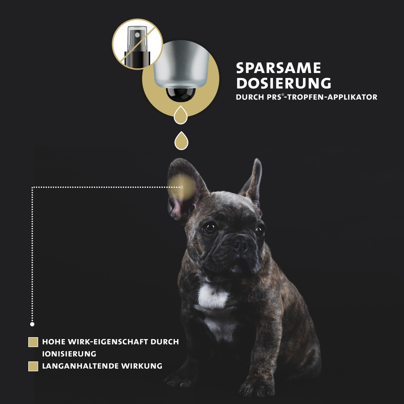 Peticare Ohren-Reiniger für Hunde, löst Schmutz & Verkrustungen, bei Gerüchen
