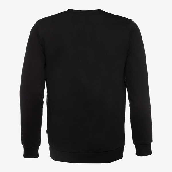 Puma Essentials Big Logo heren sweater