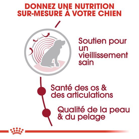 Croquettes chien +10 ans Medium Ageing 10+ 15kg