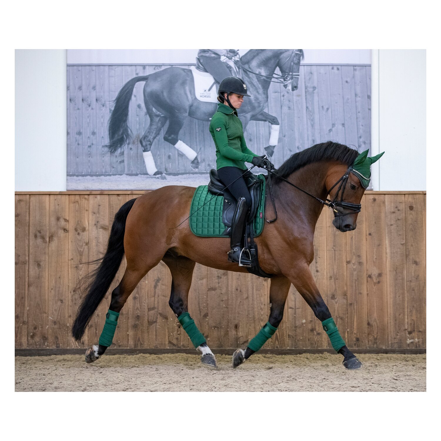 LeMieux Core Schabracke Loire Classic Satin  - huntergreen - Warmblut/Springen