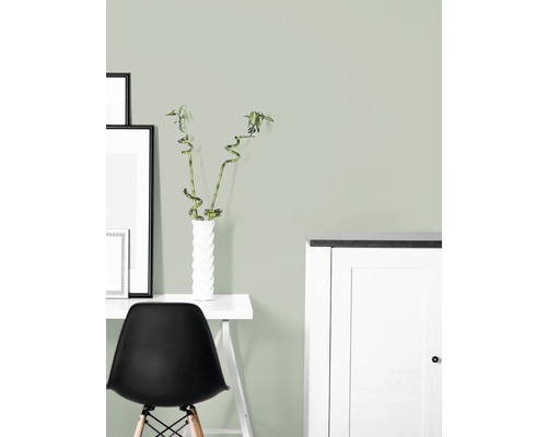 Premium muurverf Stijl Kleur SELECTIE 03 conserveringsmiddelvrij Power of Bamboo 2,5 L