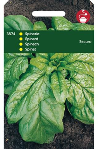 Hortitops Spinazie Spinacia oleracea Securo Orig. Wolfres.A en B 50Gr - Groentezaden - 50 Gram