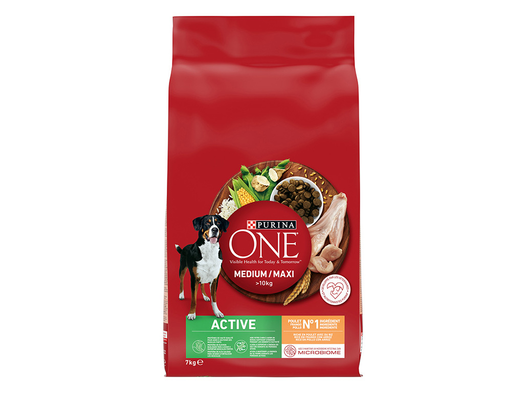 RAÇÃO PARA CÃO PURINA ONE MEDIUM MAXI ACTIVE COM FRANGO 7KG