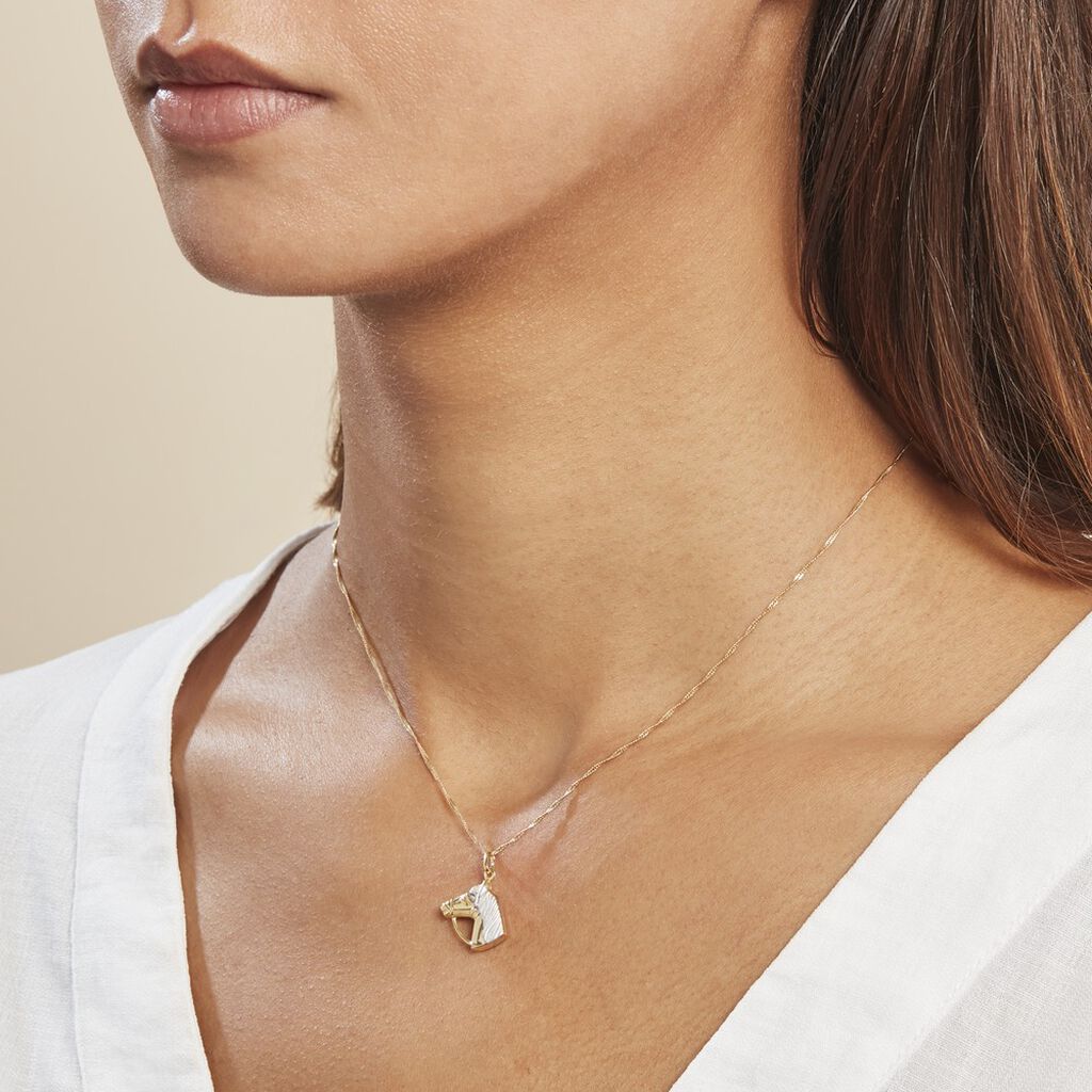 Pendentif Egide Cheval Or Bicolore