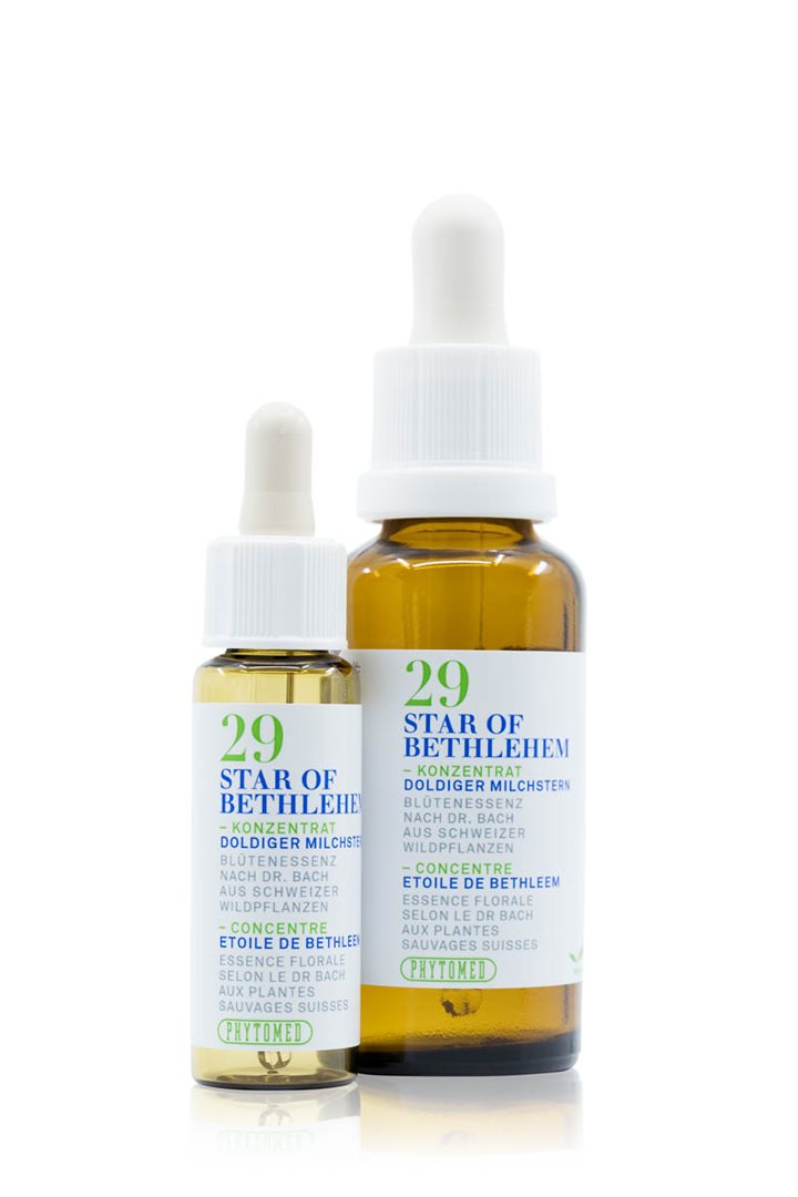 PHYTOMED Bachblüten No29 liq Doldiger Milchstern Fl 10 ml