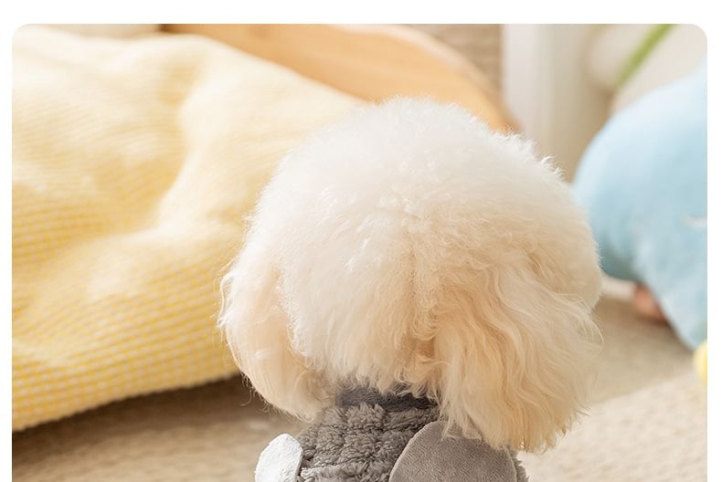 2 nachten - Bear Chenille Pet Top