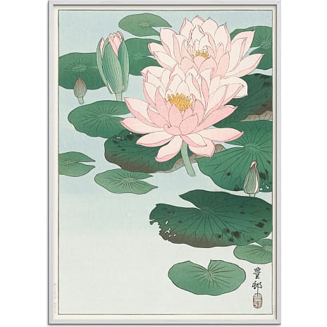 Water lilies, japansk - 30x40 cm