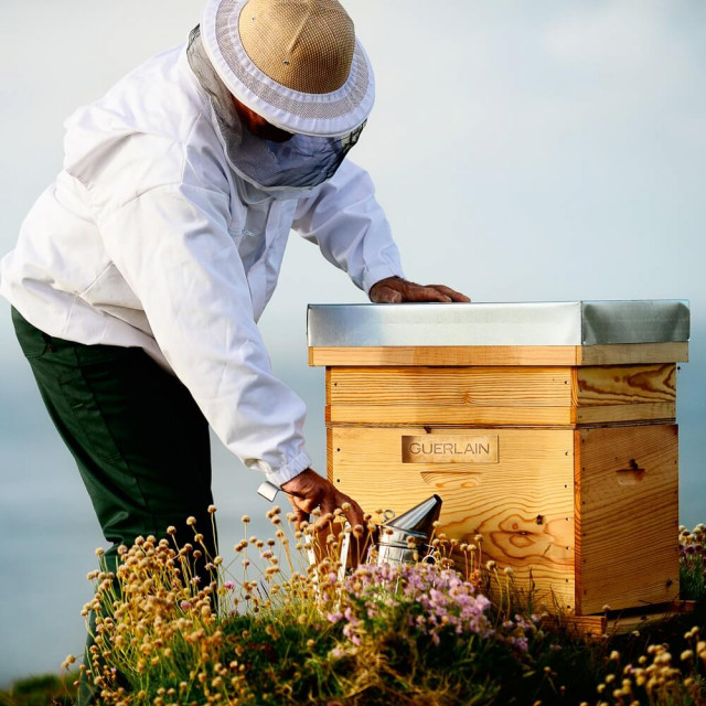 Black Bee Honey Balm GUERLAIN