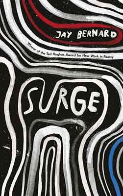 Surge (Paperback)