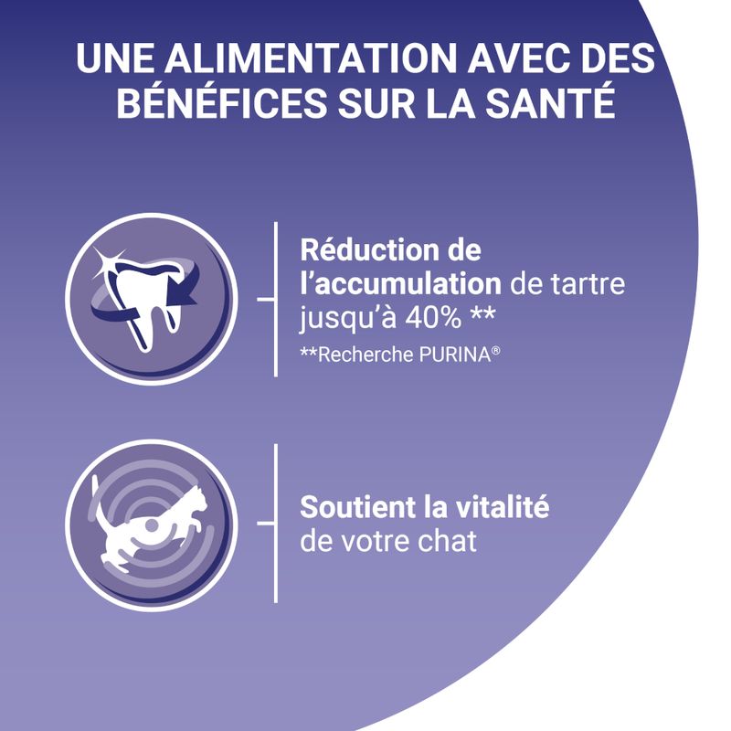 PURINA ONE Adulte poulet, céréales complètes à prix discount sur bitiba.fr
