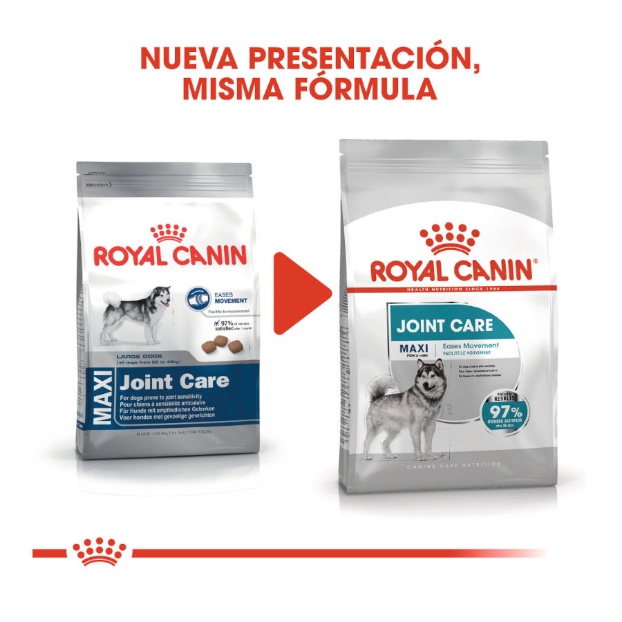Ração Royal Canin Joint Care Maxi para cães