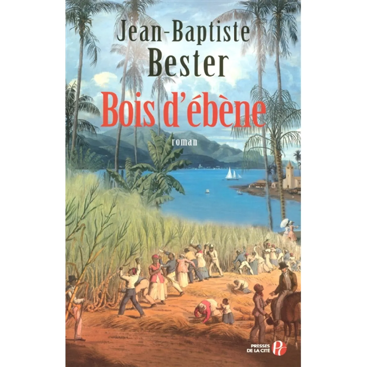 Bois d'ébène · Occasion