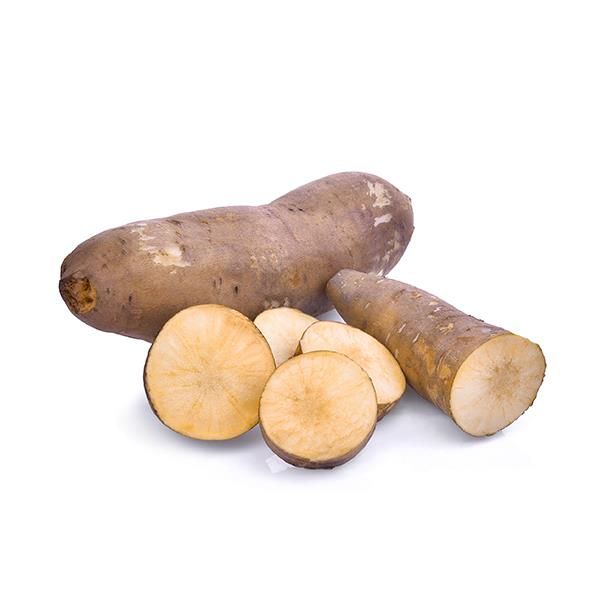 Yacon Biológico